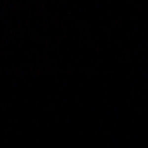 Meet your Posher, Ann